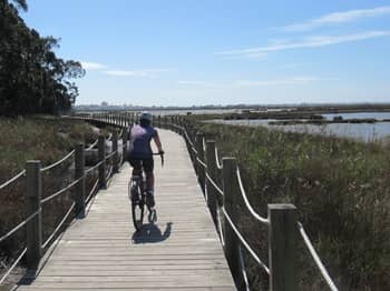 Aveiro Wetlands